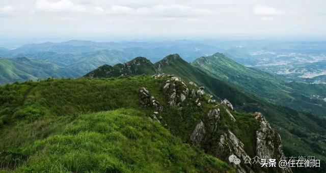 总投资7266万元！衡阳一森林公园启动创4A景区