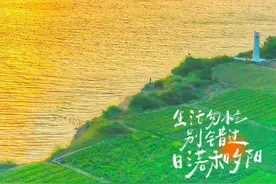 最新花海网红打卡点在佛山南海九江大片油菜花海盛开图片