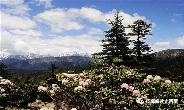 昌都•芒康，山势险峻河床深切，多急流险滩