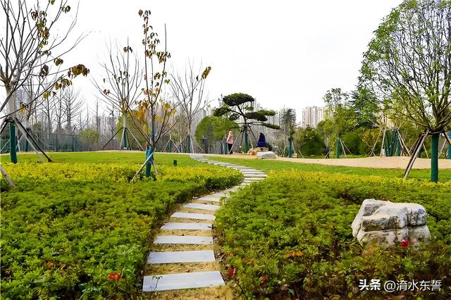 南阳申伯公园:落日熔金 秋叶簋鸣