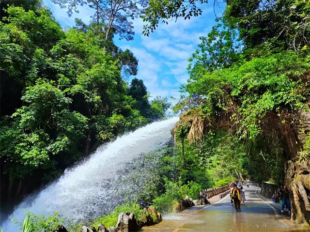 旅游避坑指南