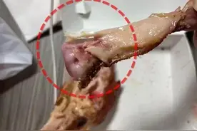 热搜第一！塔斯汀汉堡又被曝吃出生肉，广州门店回应图片