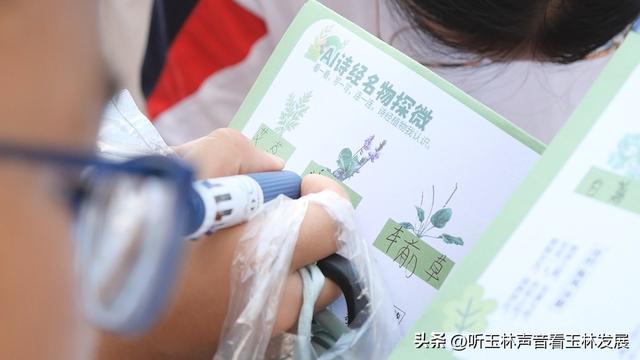 北流容心谷“探索自然之美，传诵诗韵风雅”主题研学活动广受好评