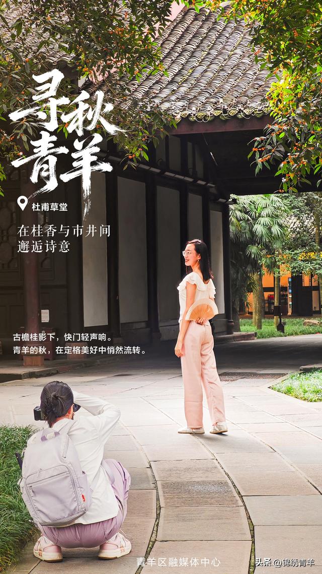 寻秋青羊：在桂香与市井间邂逅诗意