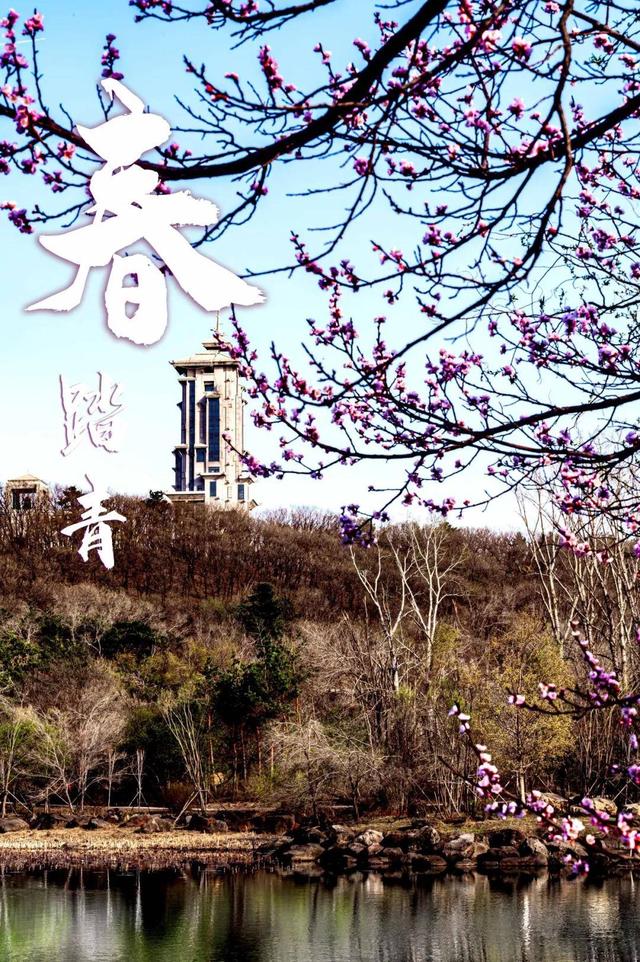 张钧甯：“很想去净月潭看看”！长春净月潭：欢迎