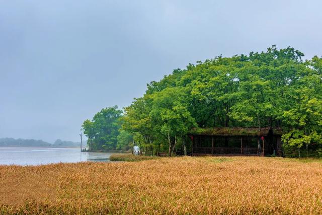 世界自然遗产、物种基因库、北纬31°绿色奇迹——神农架旅游攻略