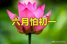 老话说“六月怕初一”，明日六月初一小暑，究竟怕啥？看老人咋说图片