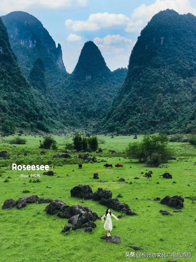 一个被严重低估的宝藏地！卸载48小时城市内卷，到鹿寨中渡加载山水与人间烟火