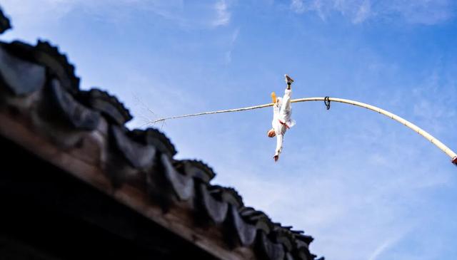 15年后，东栅，你变了吗？