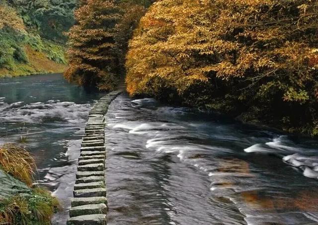 去邛崃！赴一场暖阳与山间的私语