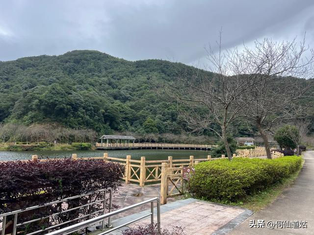 这个时候去五指山