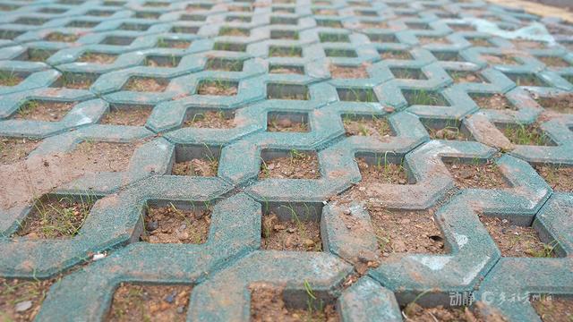 淡季不“闲”！贵州乌蒙大草原完善设施迎冬季旅游淡季不“闲”！贵州乌蒙大草原完善设施迎冬季旅游