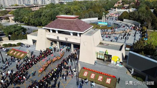 组图丨“东天山来的骆驼队”走进凉州城区