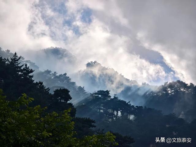 泰山雨后云雾织仙境！泼墨山水里藏着夏日最治愈的奔赴