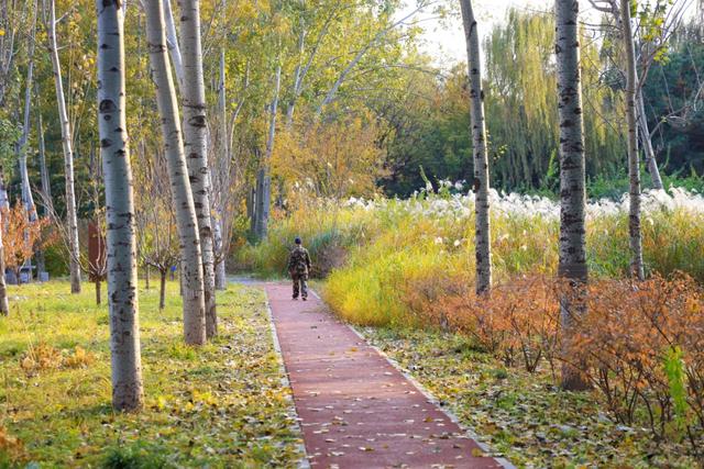 藏不住的惊艳!这座公园正处颜值巅峰