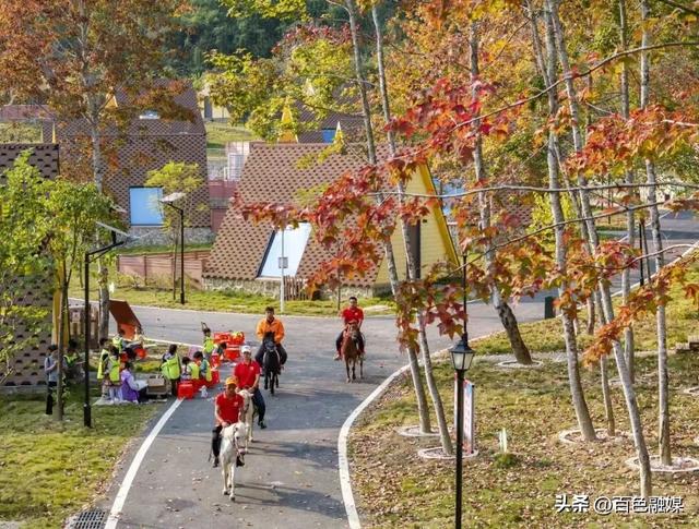 “马”上免单！“姓马、属马”，矮马王国免费玩！