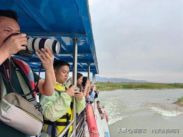 大河壮阔 亮丽北疆 |乌海湖：金沙碧水共长天