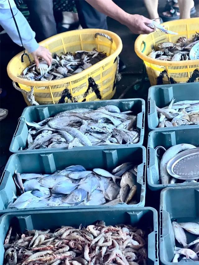 长乐开海季来袭！抢“鲜”一步：体验海鲜“扑腾”+绝美风景大片