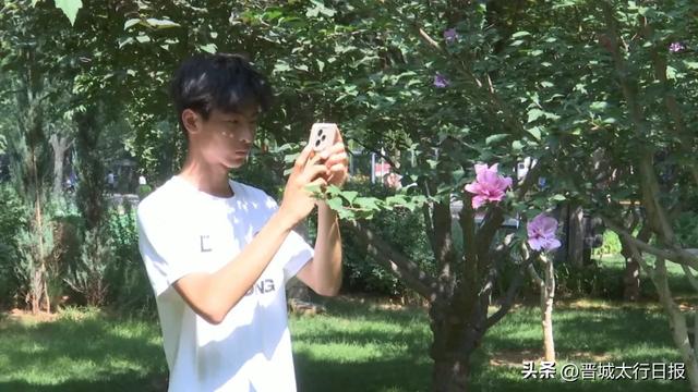 早上去儿童公园了吗?木槿花开,满眼皆夏!