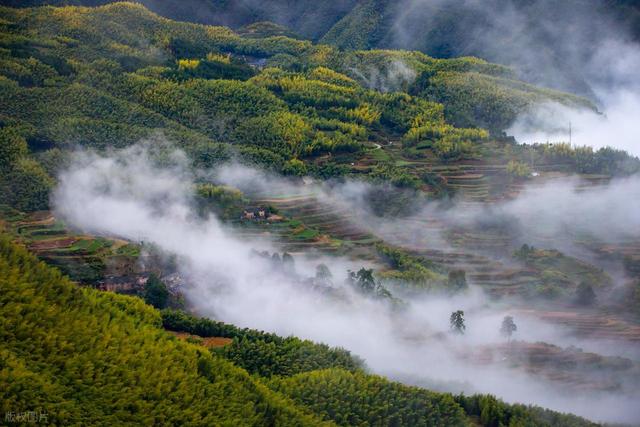 到山里去，8个森林环抱的好地方，过几天山居生活，回归纯粹