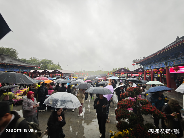 郑国霖雨中游万岁山，明星效应助推2025开封菊花花会文旅热度