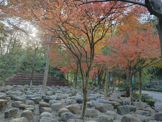 鄂渝行第五天：巴东—宜昌—秭归.屈原故里