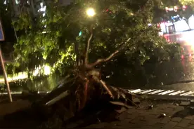 恐怖！河南一夜变‘风都’，15级大风撕碎门窗！现场画面太吓人！图片