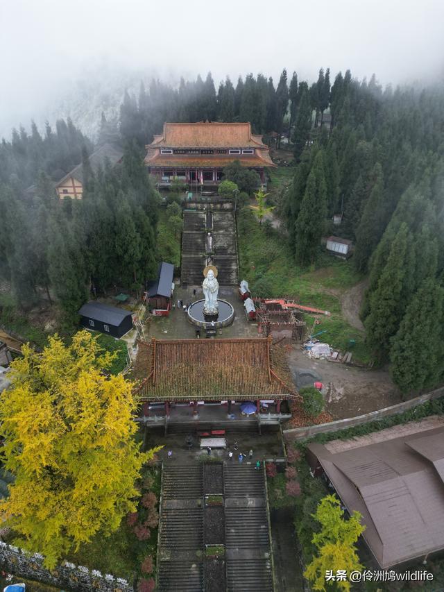 四川行(73)什邡红枫岭徒步到钟鼎寺