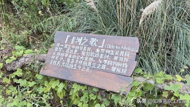 降温天逛红山动物园有多爽？