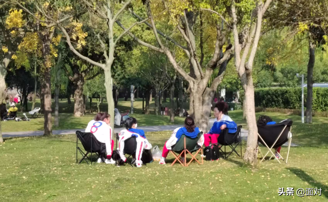 🌞广汉金雁湖公园：冬日里的“阳光能量站”