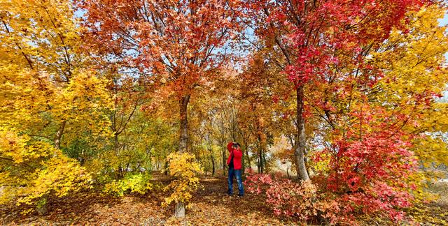 泗水县万紫千红旅游区：静谧而斑斓的生态画卷