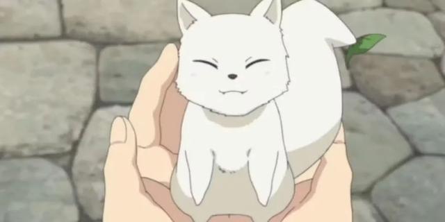 喜欢九尾狐？这15部狐狸系动画你可能都该补一下