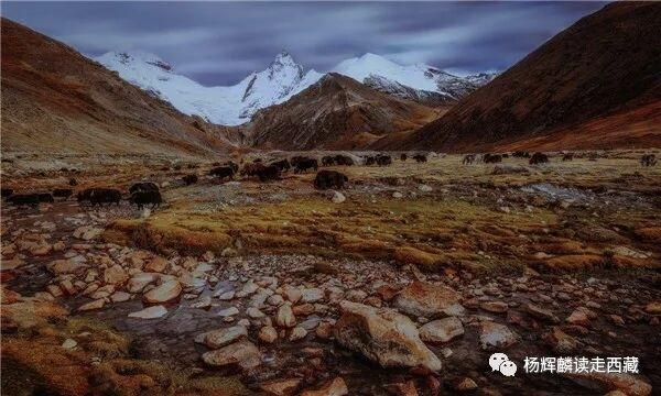 山南•泽当，西藏古人类文化和自然风光的重镇