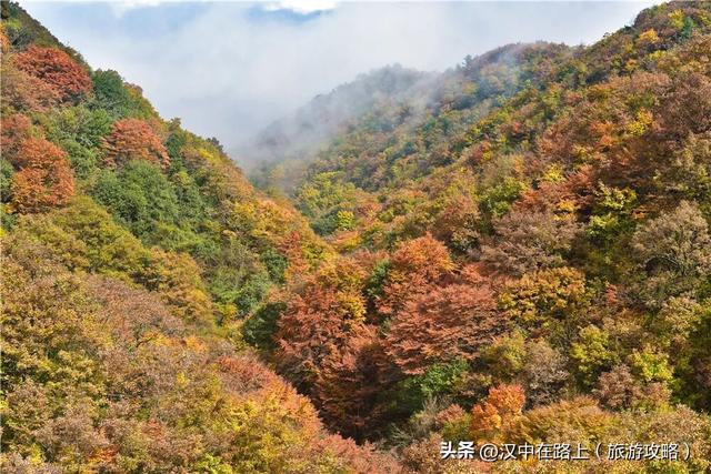 汉中秋景天花板！汉江源的红叶云海，藏不住的惊艳