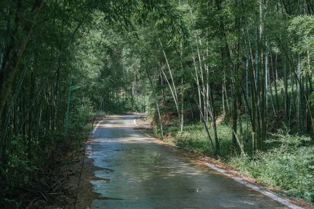 韶关这些秋冬的徒步骑行宝藏路线值得你N刷！喊上搭子，周末就出发去捕捉秋天的限定温柔