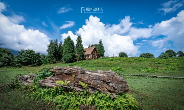 绿意+山林+森呼吸,在黑竹沟景区,慢享夏日山林趣~