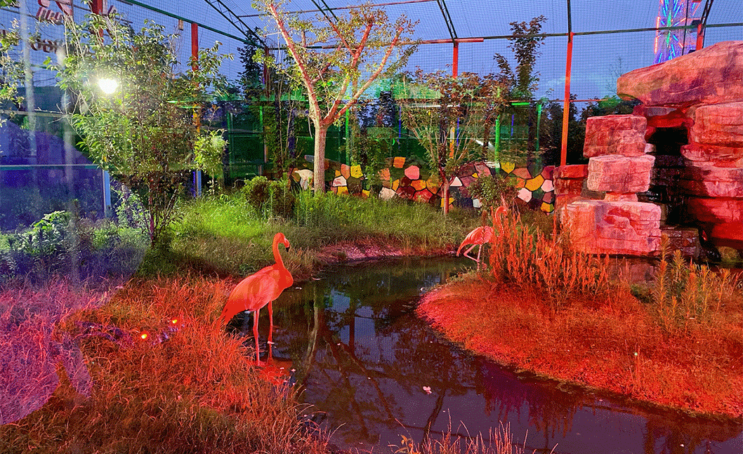 奔“县”潍坊！“龙”游诸城，诸事皆成！