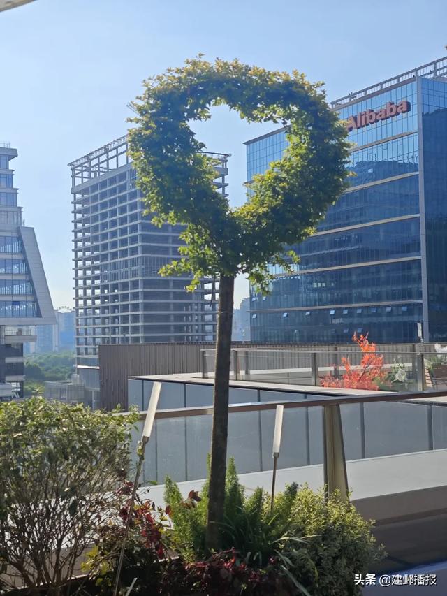 这些免费宝藏遛娃点,还有谁不知道?