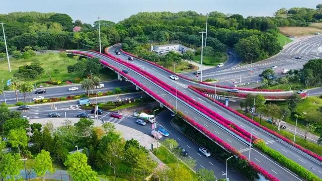 惊艳！南山60公里“空中花廊”来了~