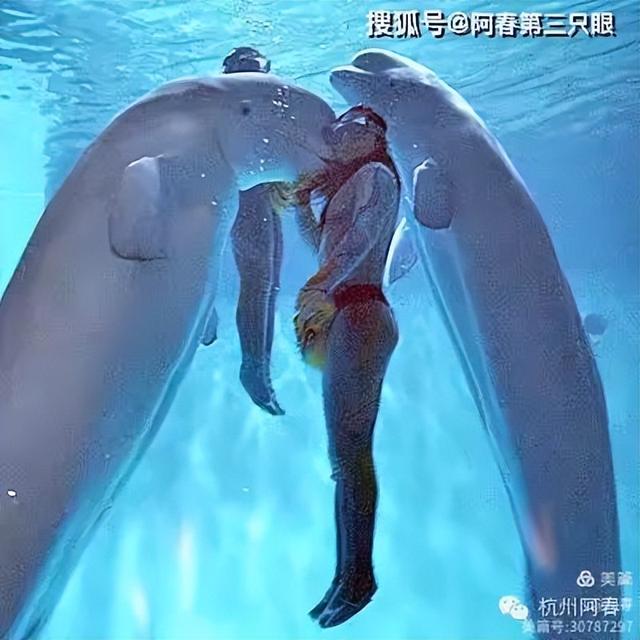 大连 之海洋世界