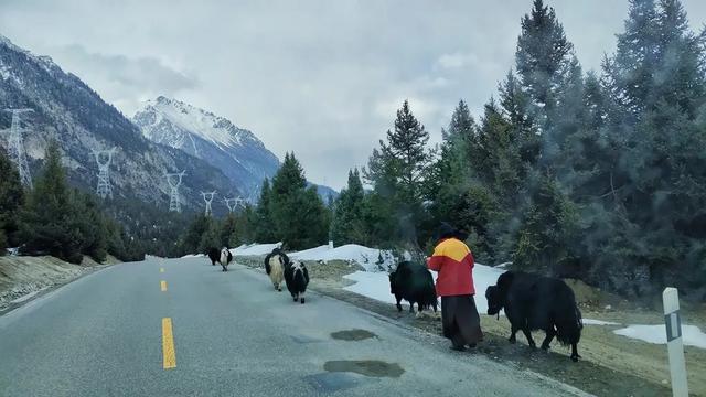 除了黑独山，滇藏线还有哪些适合摄影的景点？