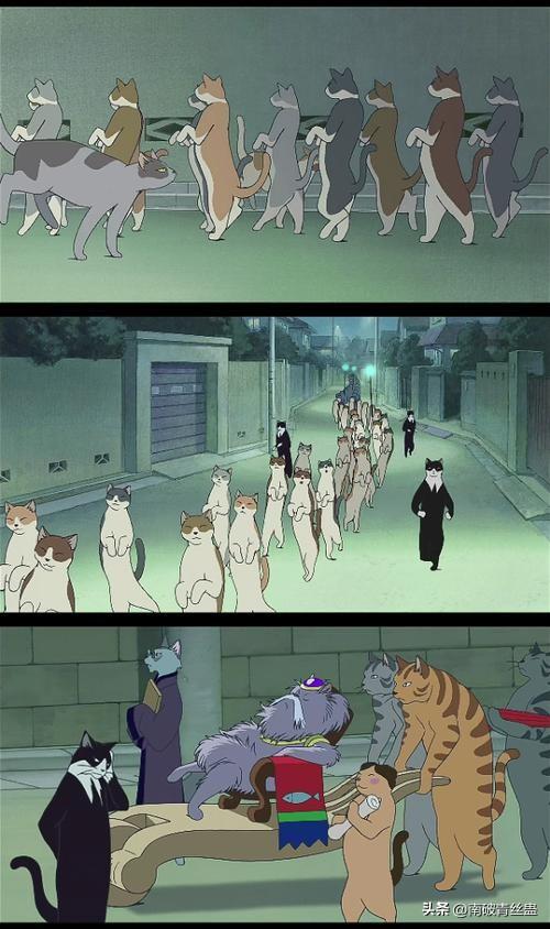 电影《猫的报恩》：在猫咪王国奇幻冒险，寻找真正的自我