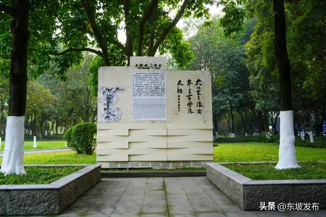 你好 东坡！苏轼公园：千年诗书气韵里的城市客厅