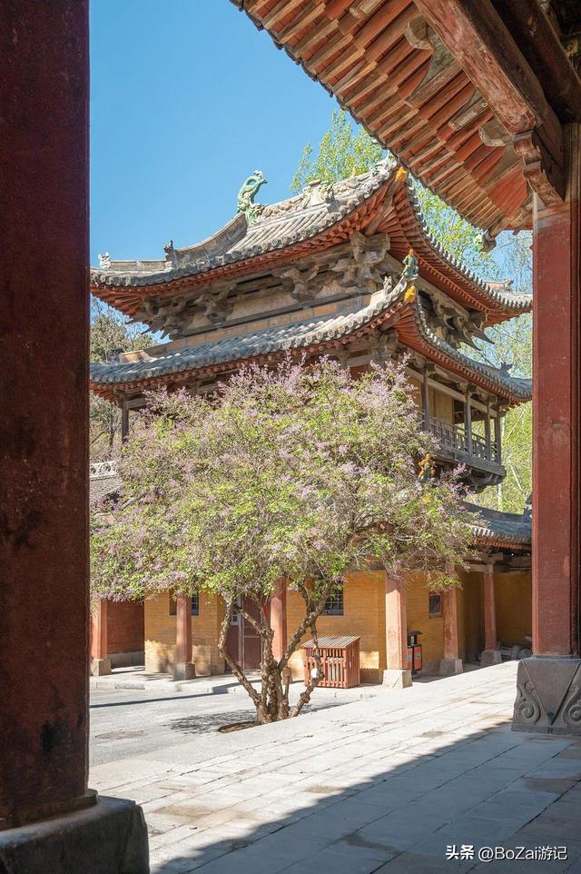 陵川西溪二仙庙：一庙藏尽太行春色，千年柏下听仙踪