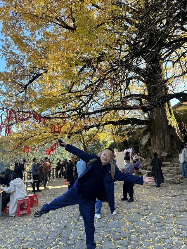 郁郁银杏无非般若，青青溪石尽是法身：宜春南惹古村印象（聂朋