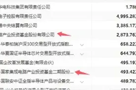 10大半导体龙头，国家大基金重仓，葛卫东和社保抄底，业绩爆发了图片