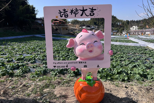 福建首座“猪文化”IP主题景区“小花猪趣味王国”试营业