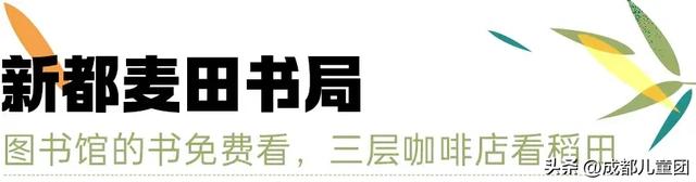 夏天一定要看一次稻田！这4处可看，还能喝下午茶逛博物馆