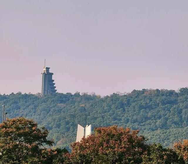 逛起来！8小时10个公园！