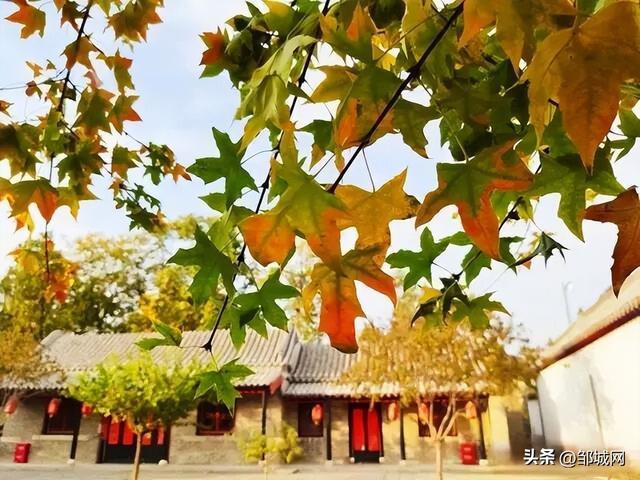 九月来邹城赴一场文化与自然的盛宴